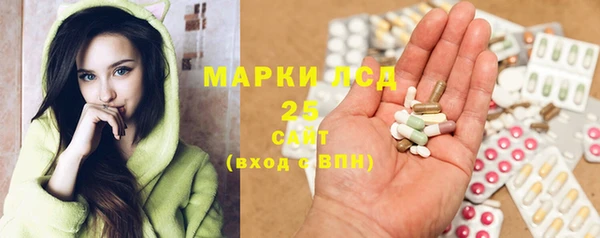 ECSTASY Заполярный