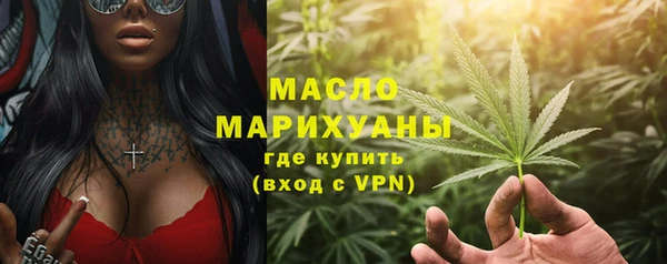 дмт Пересвет